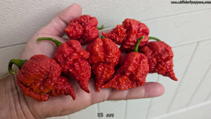 RB 003 - Pepper Seeds - White Hot Peppers