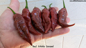 Bhut Jolokia (Ghost) Caramel - Pepper Seeds - White Hot Peppers