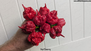 Hurt Berry - Pepper Seeds - White Hot Peppers