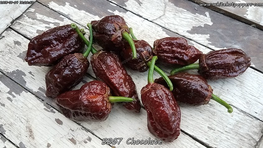 All Chili Pepper Seeds - White Hot Peppers LLC
